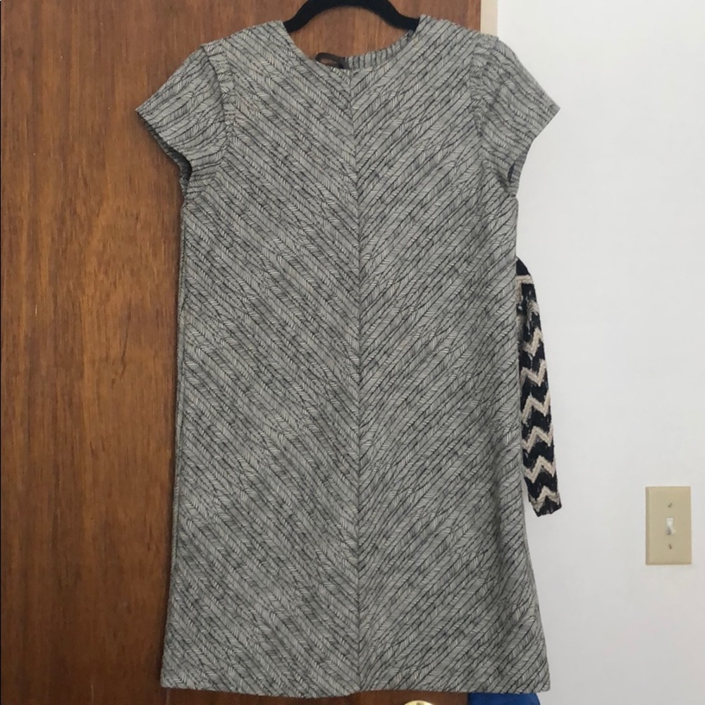 Zara Shift Mini Dress